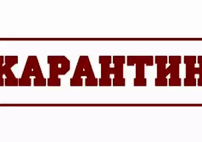 Қарантин жағдайында!